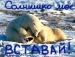 Дімон Бажан фотография #17