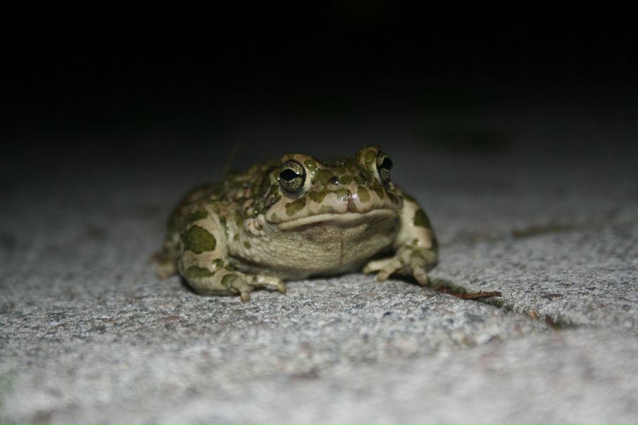 №145, Дарья Стальмакова, 42 года, Североморск №145, Дарья Стальмакова, 42 года, Североморск