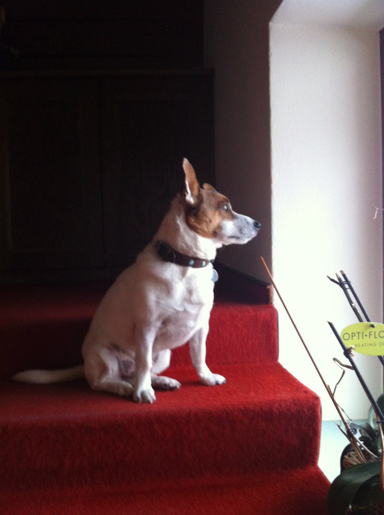 Владимир Цыбенко | Москва