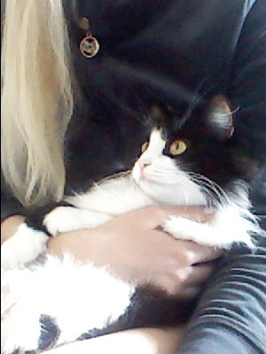 Даночка Мальвиночка ♥♥♥ | 