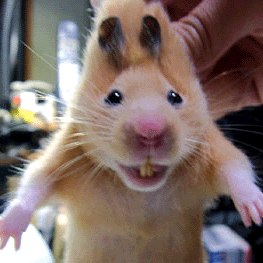 Дмитрий Калинин | Вологда