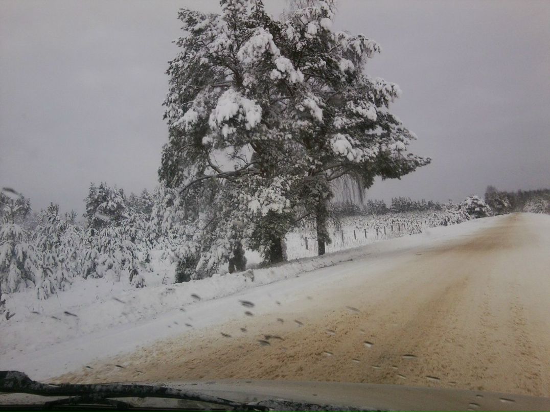 Андрей Гудков | Москва