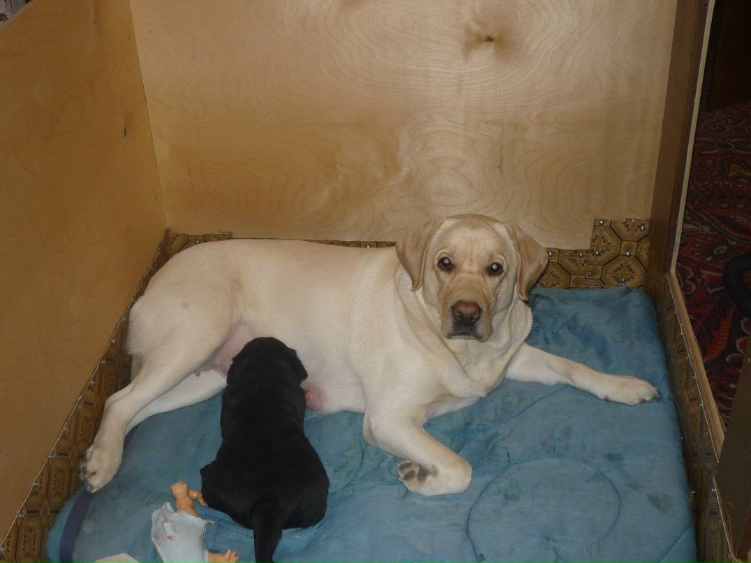 Наталья Александрова | Нижний Новгород