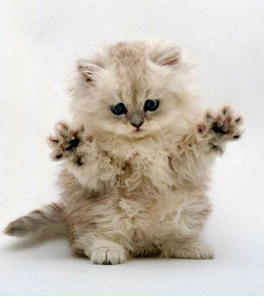 №158, Наташа Чичерина, 34 года, Москва №158, Наташа Чичерина, 34 года, Москва