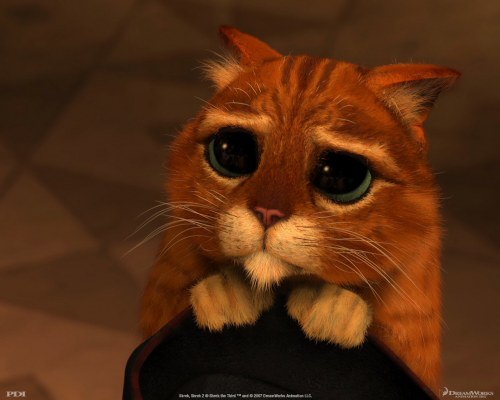 Светлана Полупарнева 