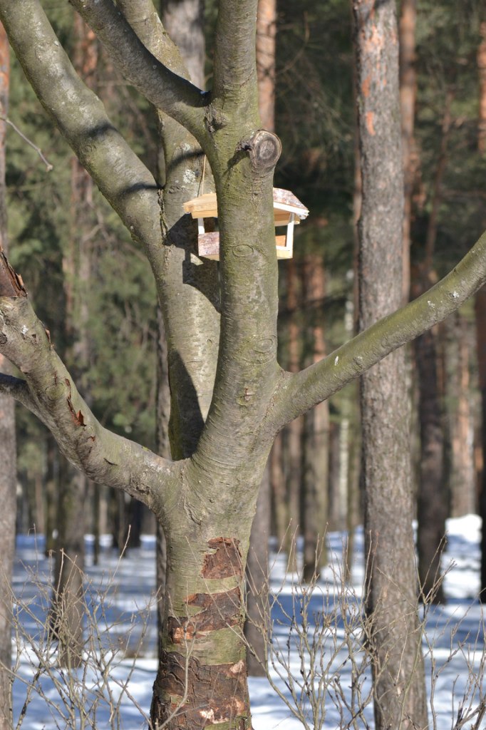 Андрей Стрелков | Санкт-Петербург