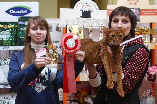 Катерина Uma rock♥n♥heart | Санкт-Петербург