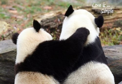 Андрей Козлов | Санкт-Петербург