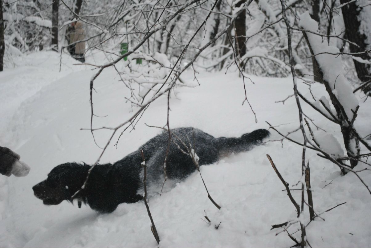 Софья Ярова | Нижний Новгород
