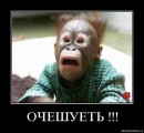 Константин Вильке, 39 лет, Иркутск, Россия, 29.05.1986