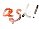 №30 Диана Литвинова