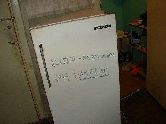 Алексей Розман | Санкт-Петербург