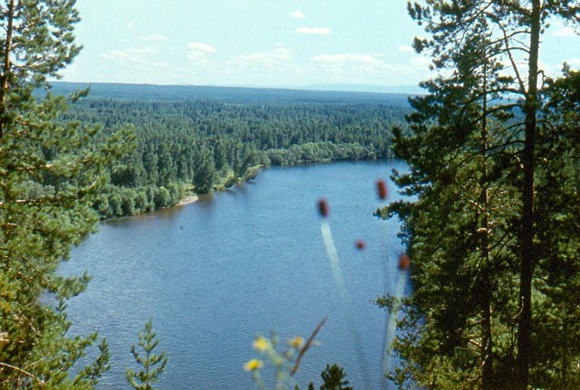 Роман Гук Александрович | Зеленогорск
