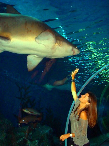 Екатерина Авдеева | 