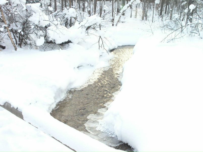 №61, Молодёжь Баргдолины, Улан-Удэ №61, Молодёжь Баргдолины, Улан-Удэ