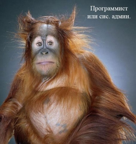 Наташа Купитман | Ростов-на-Дону