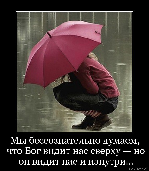 Капитан Очевидность | Волгоград