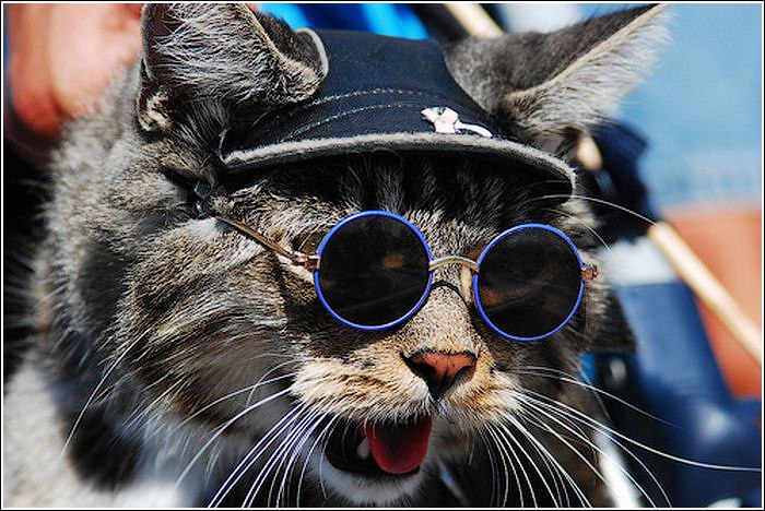 Игорь Сивак | Львов