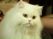 №18 Светлана Штепа 03.12: профиль, фото, статус - ВКонтакте