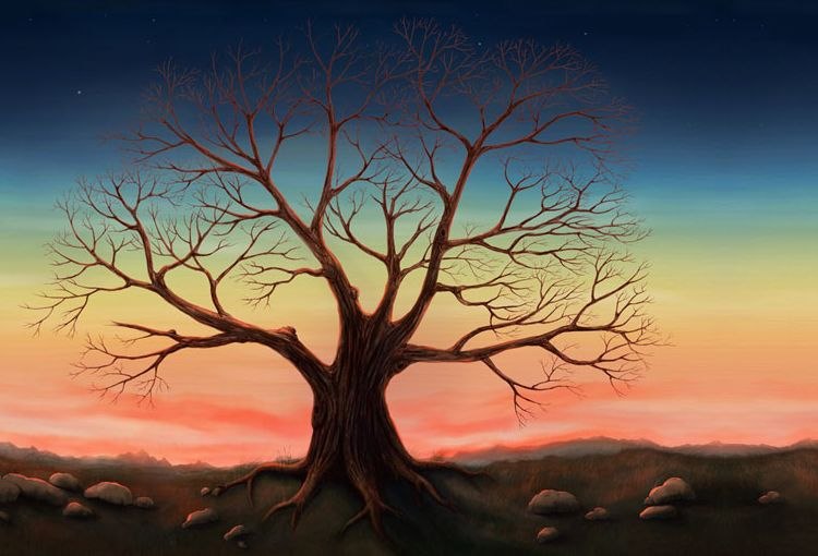 Марина Стрелец | Москва