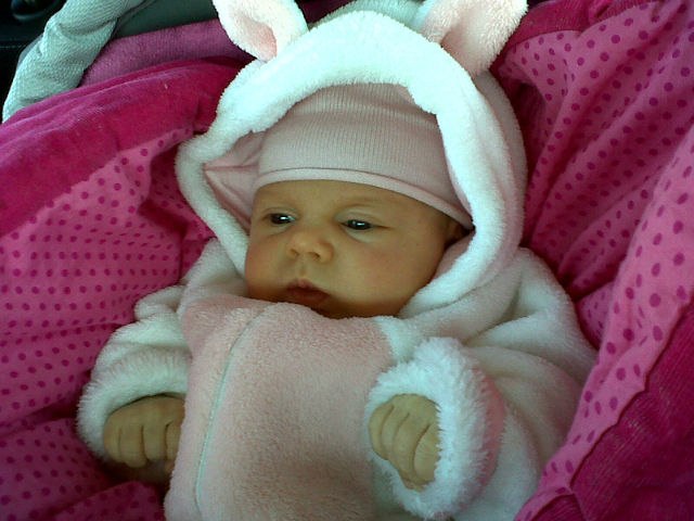 Виталий Андроник | Невинномысск