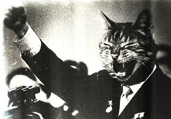 Саша Гуцул | Кишинев