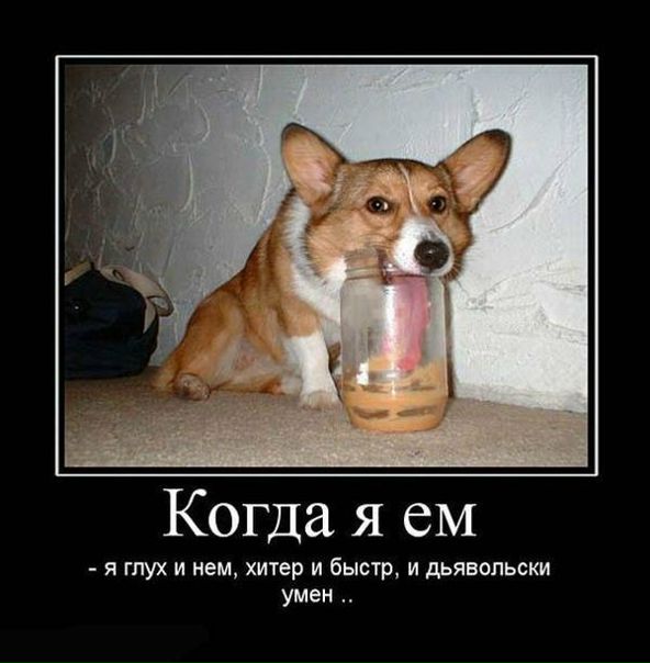 №54, Анна Фишман, Иерусалим №54, Анна Фишман, Иерусалим