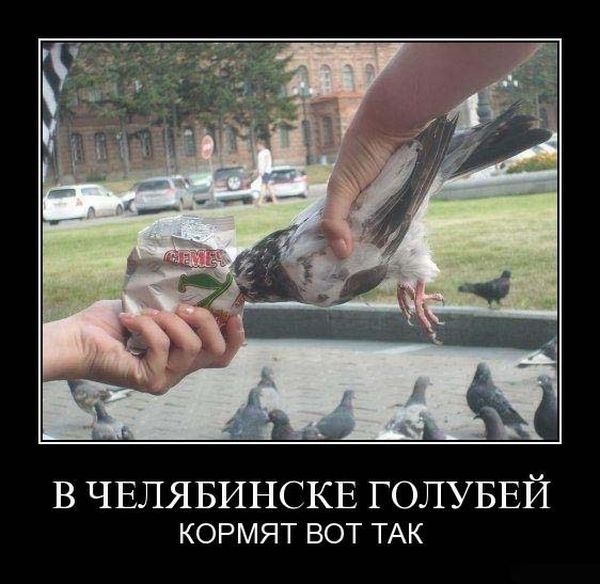 №34, Анна Фишман, Иерусалим №34, Анна Фишман, Иерусалим