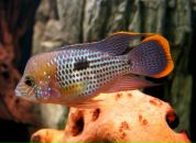 №38 Irina Marakueva : профиль, фото, статус - ВКонтакте