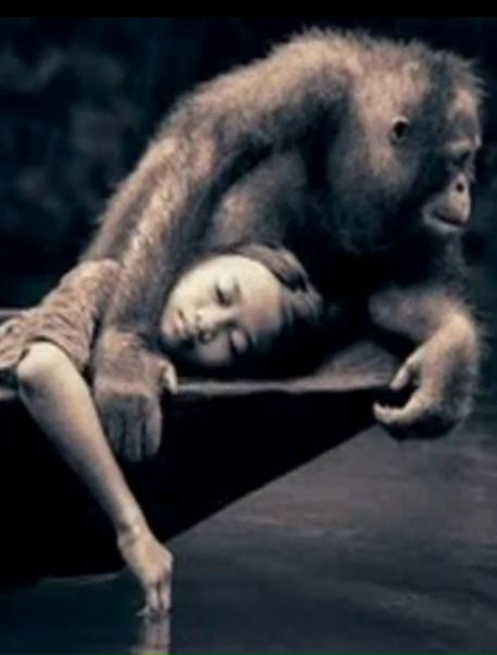 №63, Ольга Голова, 40 лет, Жуковский №63, Ольга Голова, 40 лет, Жуковский