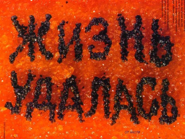 №71, Александр Волкович, Барановичи №71, Александр Волкович, Барановичи