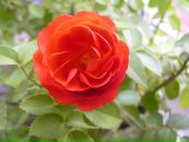 №40 Татьяна Никифорова-Кобелева 14.11: профиль, фото, статус - ВКонтакте