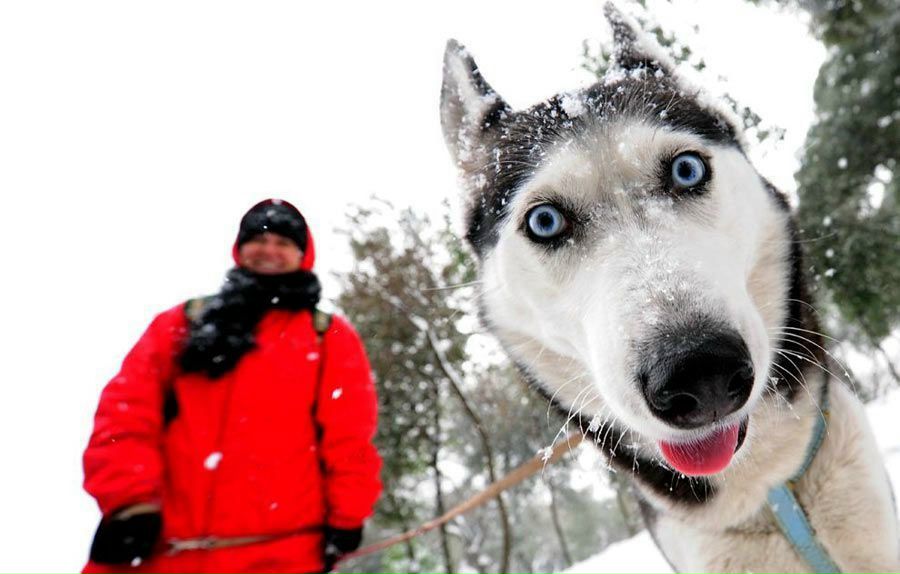 Максим Венцов | Ногинск