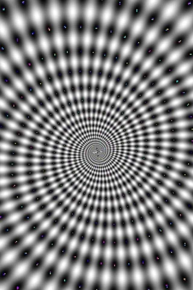 Димас Ерошкин | Москва