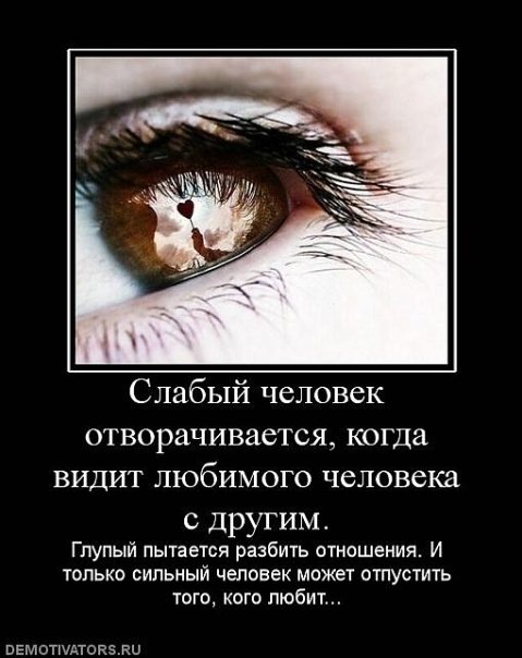 №39, Александр Конин, Коряжма №39, Александр Конин, Коряжма