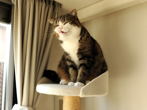 №80, Катюшка Фролова, 36 лет, Николаев №80, Катюшка Фролова, 36 лет, Николаев