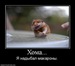 Андрей Казанков фотография #38 (источник - https://vk.com/id46462886)