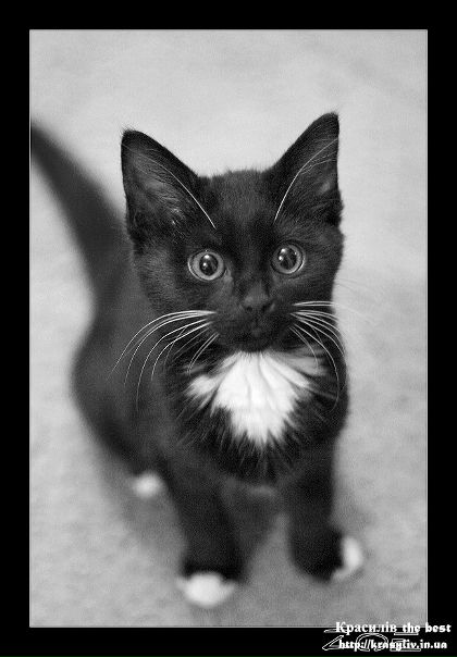 №6, Алена Антакова №6, Алена Антакова