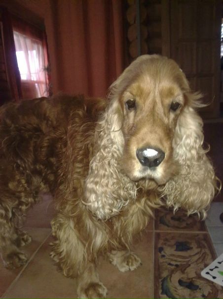 №2, Сергей Кронов, 56 лет, Минск №2, Сергей Кронов, 56 лет, Минск