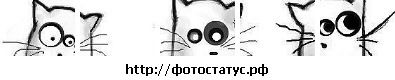 Фотография Анна Кошкина