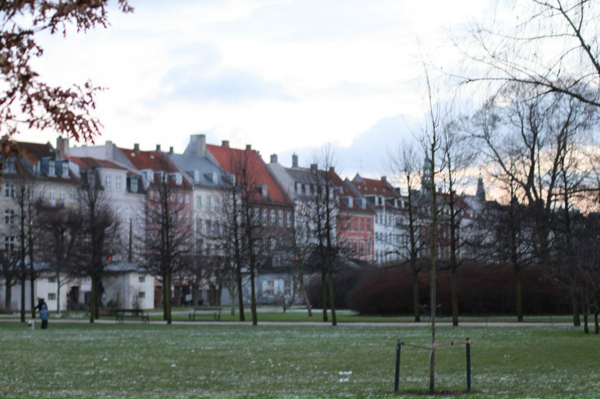 Алёна Труба | Тюмень