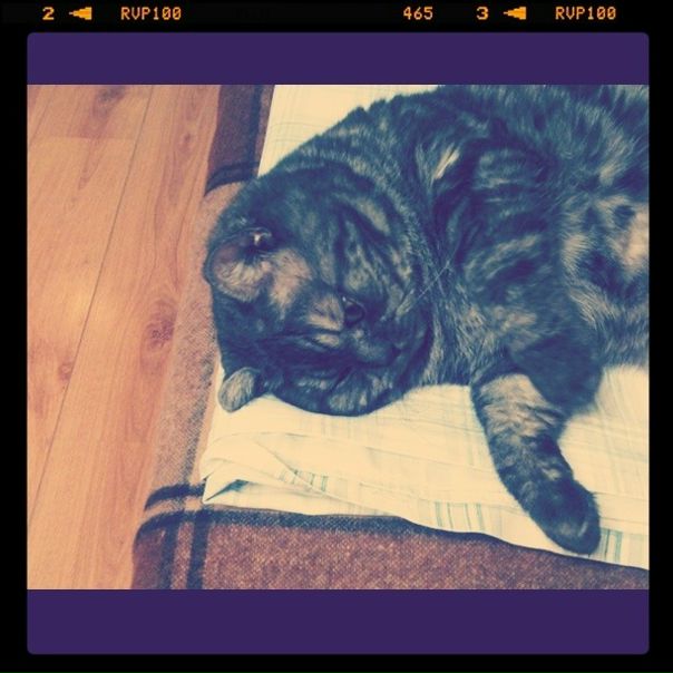 №125, Екатерина Моверган №125, Екатерина Моверган