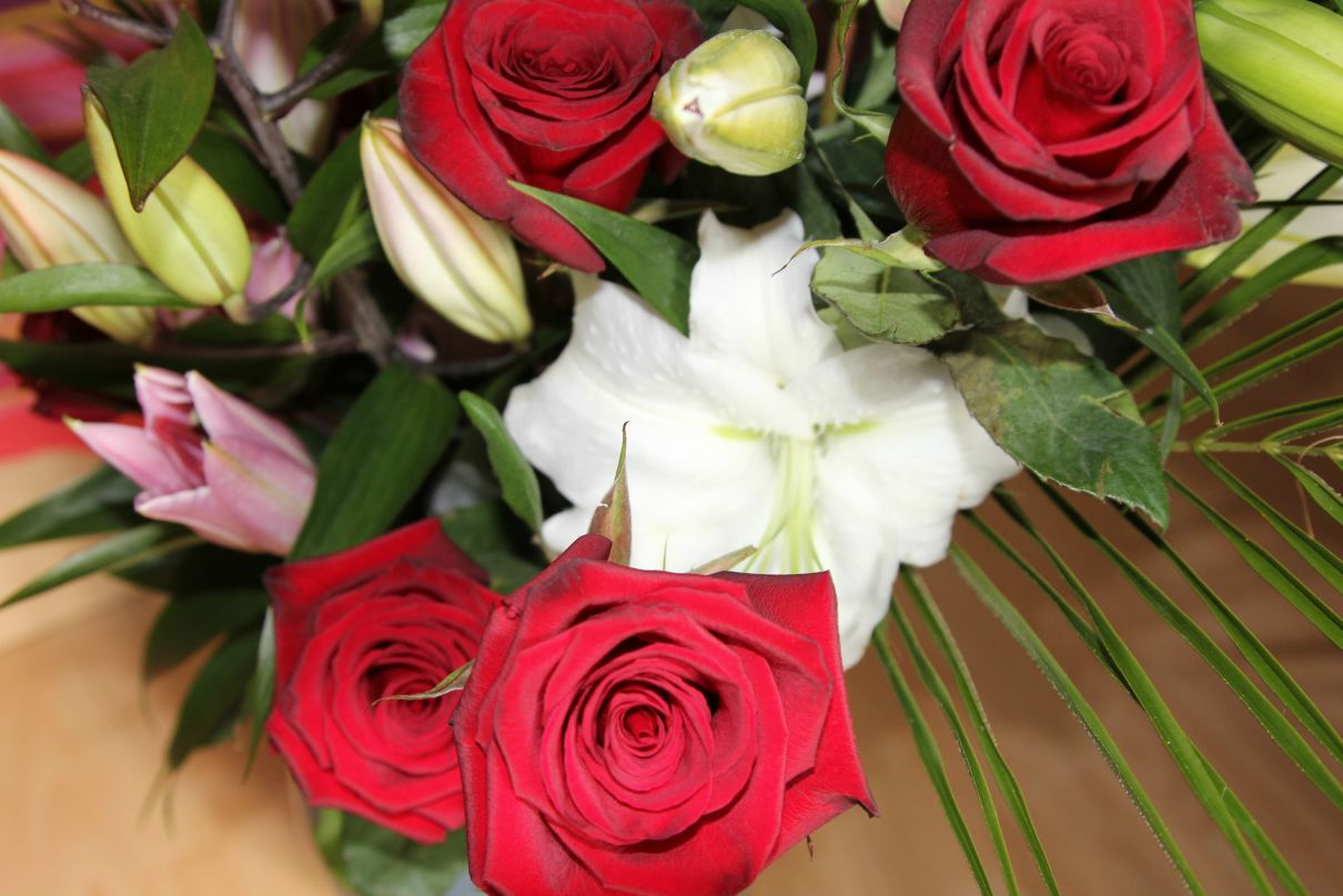 Ирина Тамм | Псков