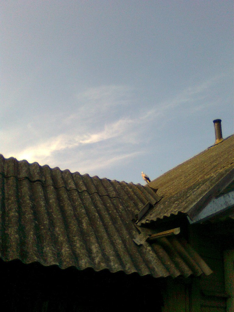 Валентина Рудакова Анатольевна | Санкт-Петербург