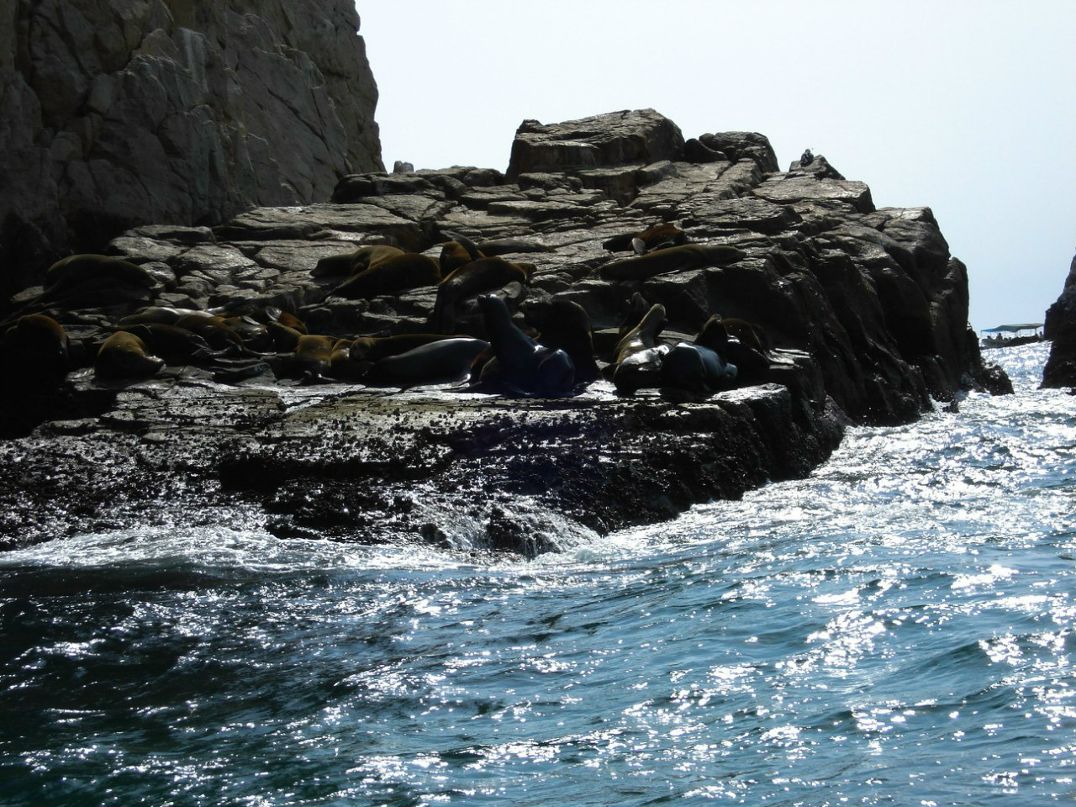 Кристина Зацепина | 