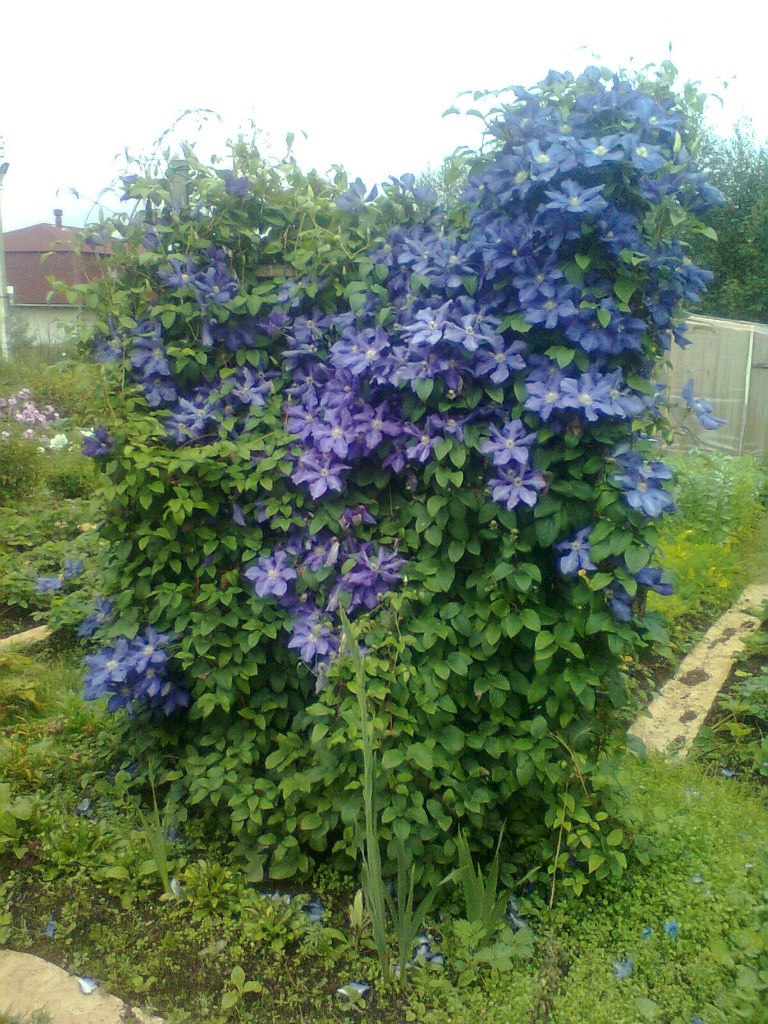 Игорь Зайцев | Санкт-Петербург