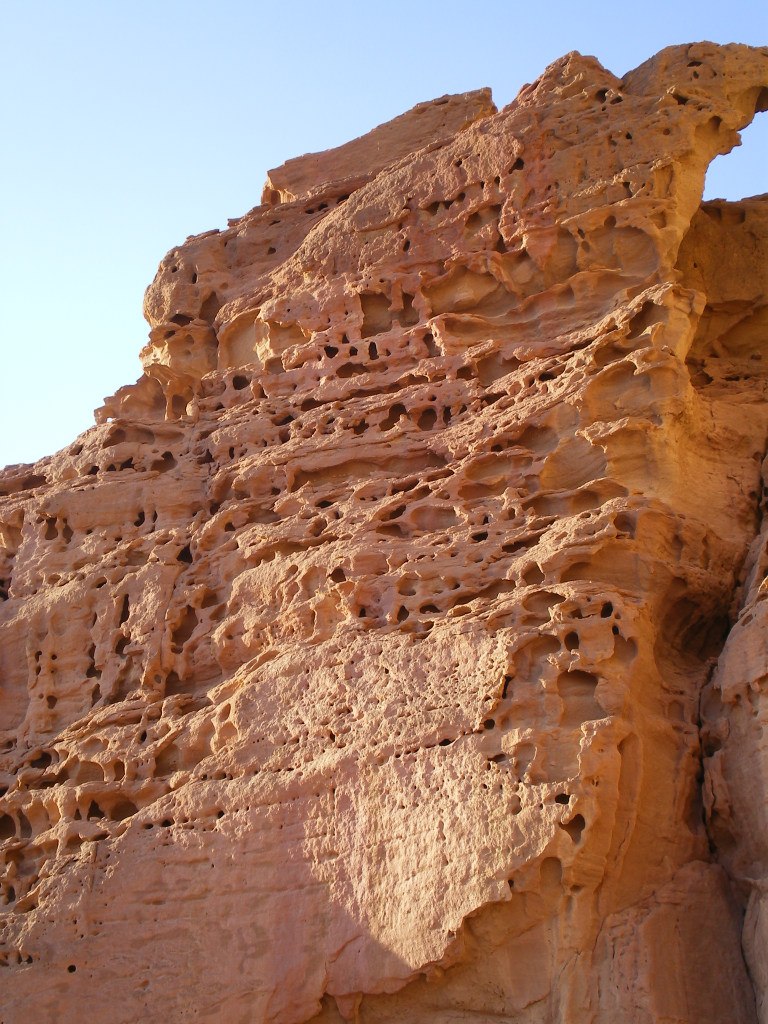 Katya Kutenkova _(Хазимова)_ | Омск