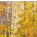 №190, Олег Водинов, Череповец №190, Олег Водинов, Череповец