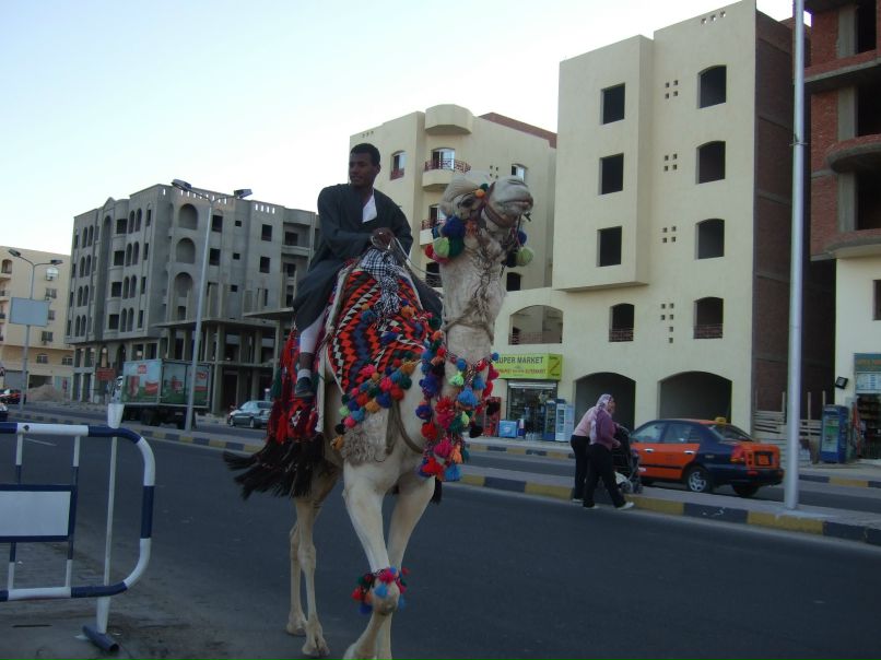 Инна Шагиахметова | Санкт-Петербург