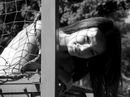 №5 Катерина Колосова 15.09.1993: профиль, фото, статус - ВКонтакте